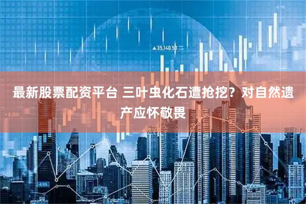 最新股票配资平台 三叶虫化石遭抢挖？对自然遗产应怀敬畏